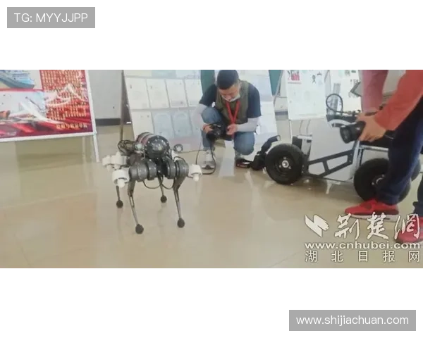 凯发直播线上手机版下载安装流程详解，帮助用户快速开启精彩直播体验