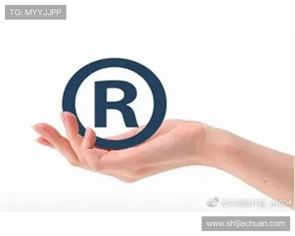 凯发首页地址如何成功注册商标，提升品牌保护能力的实用技巧