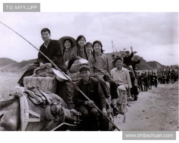 二爷娱乐带你回顾经典影视作品，重温难忘的娱乐记忆