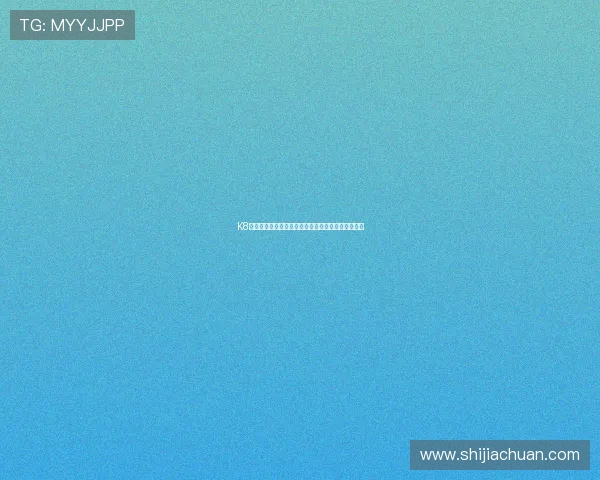 K8真人官网入口最新更新内容及其稳定性保障措施分析