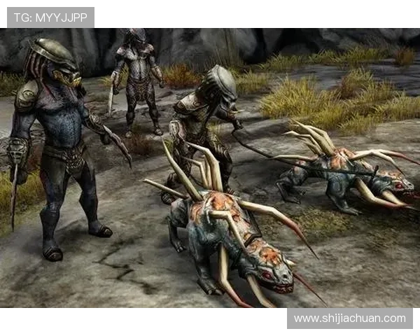 罗马网络娱乐城：多样化游戏选择满足不同玩家需求